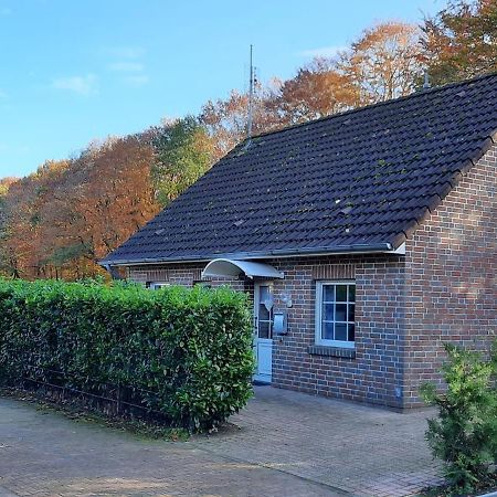 Villa "Am Waldesrand" Re16 Sögel Esterno foto
