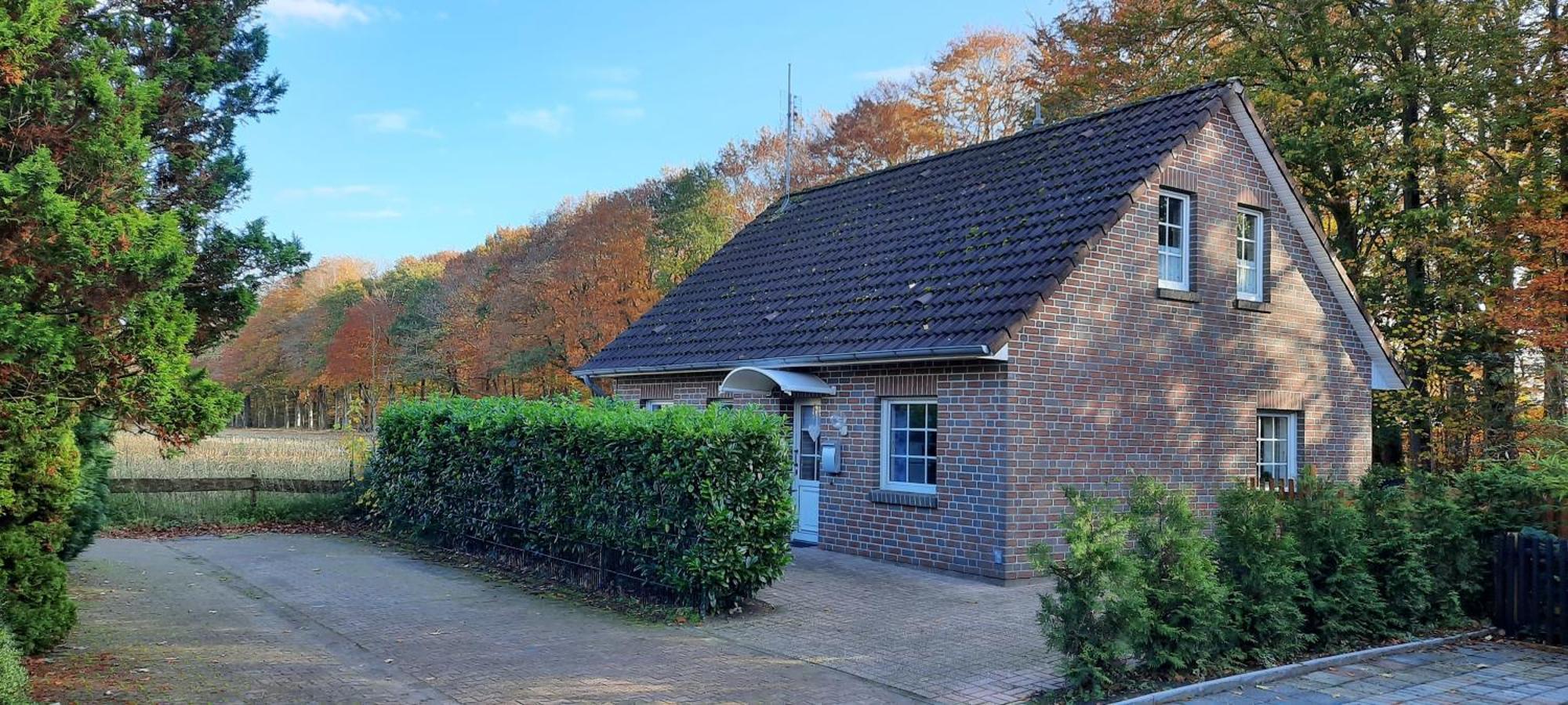 Villa "Am Waldesrand" Re16 Sögel Esterno foto